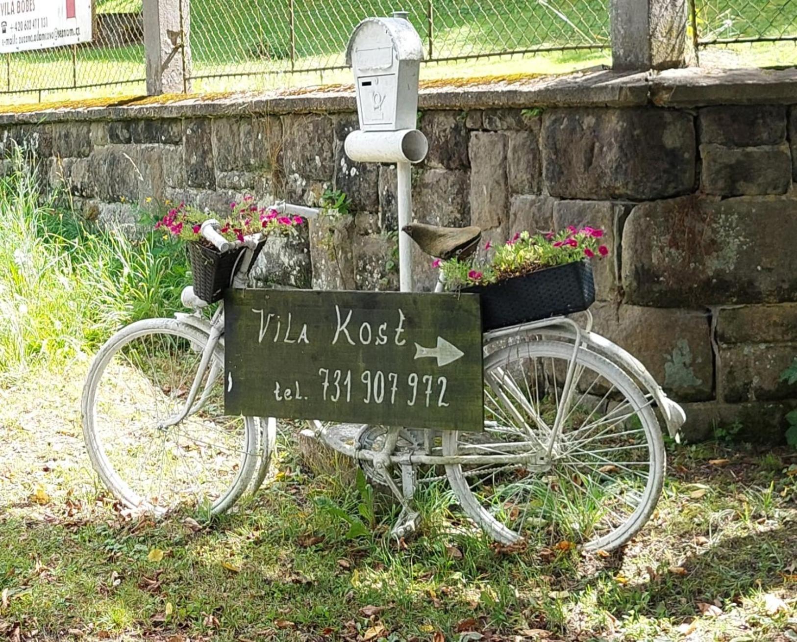 Vila Kost Sobotka Extérieur photo